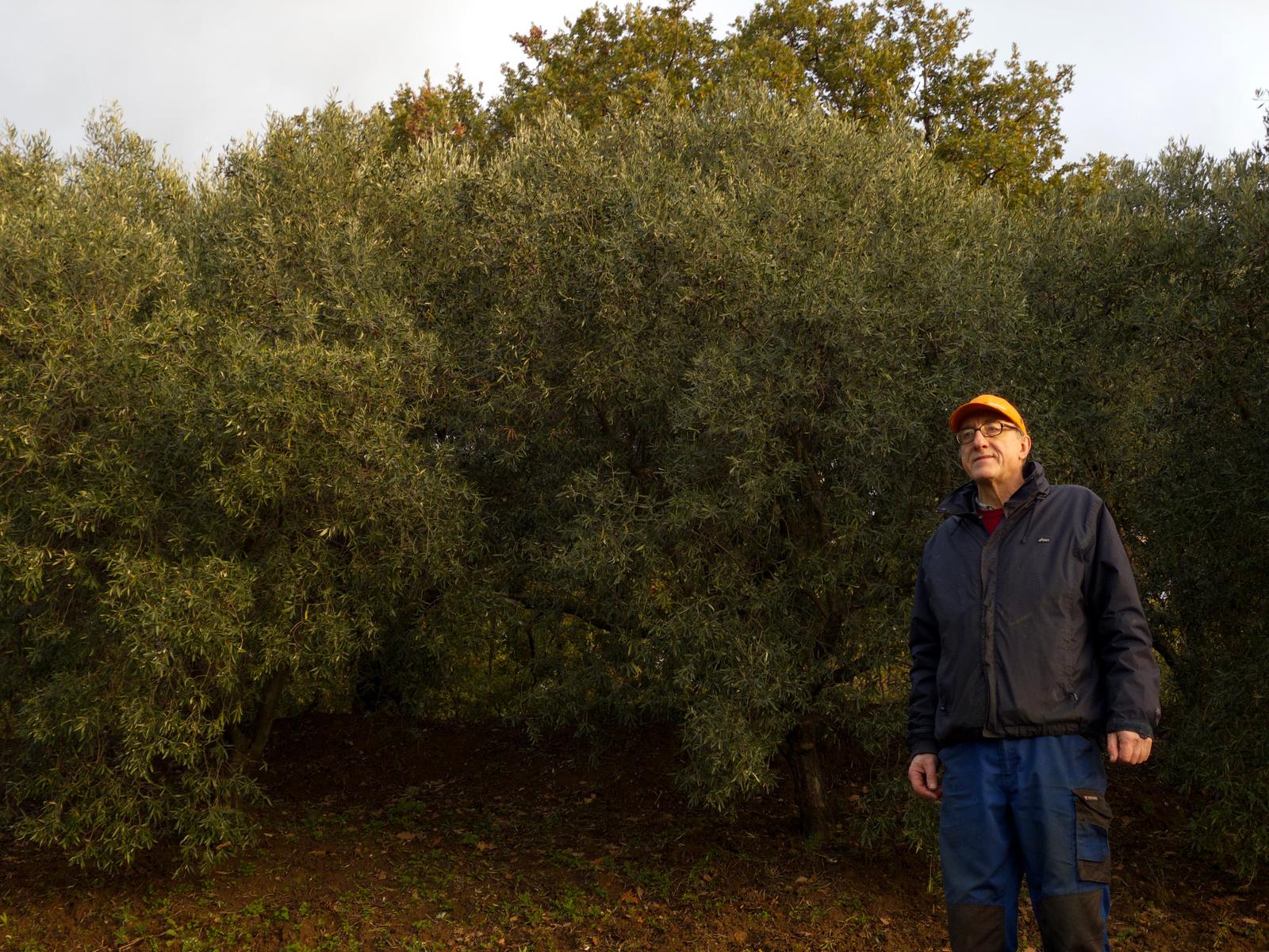 premium-italian-evoo-glass-bottle