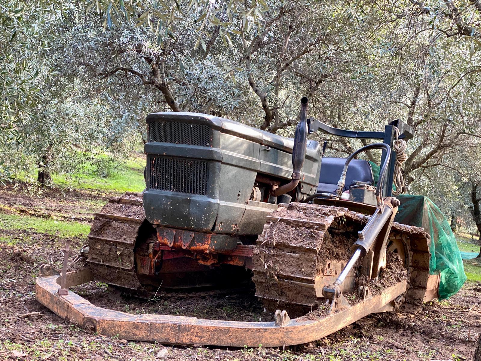 sustainable-italian-olive-farm